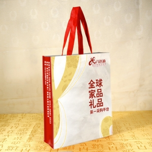 展會(huì)廣告袋設(shè)計(jì)